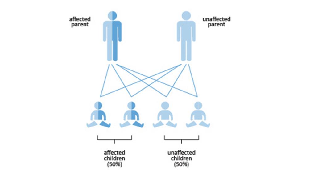 cardiomyopathy family tree