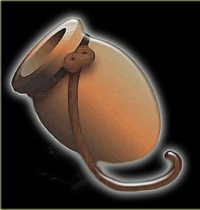 takotsubo cardiomyopathy